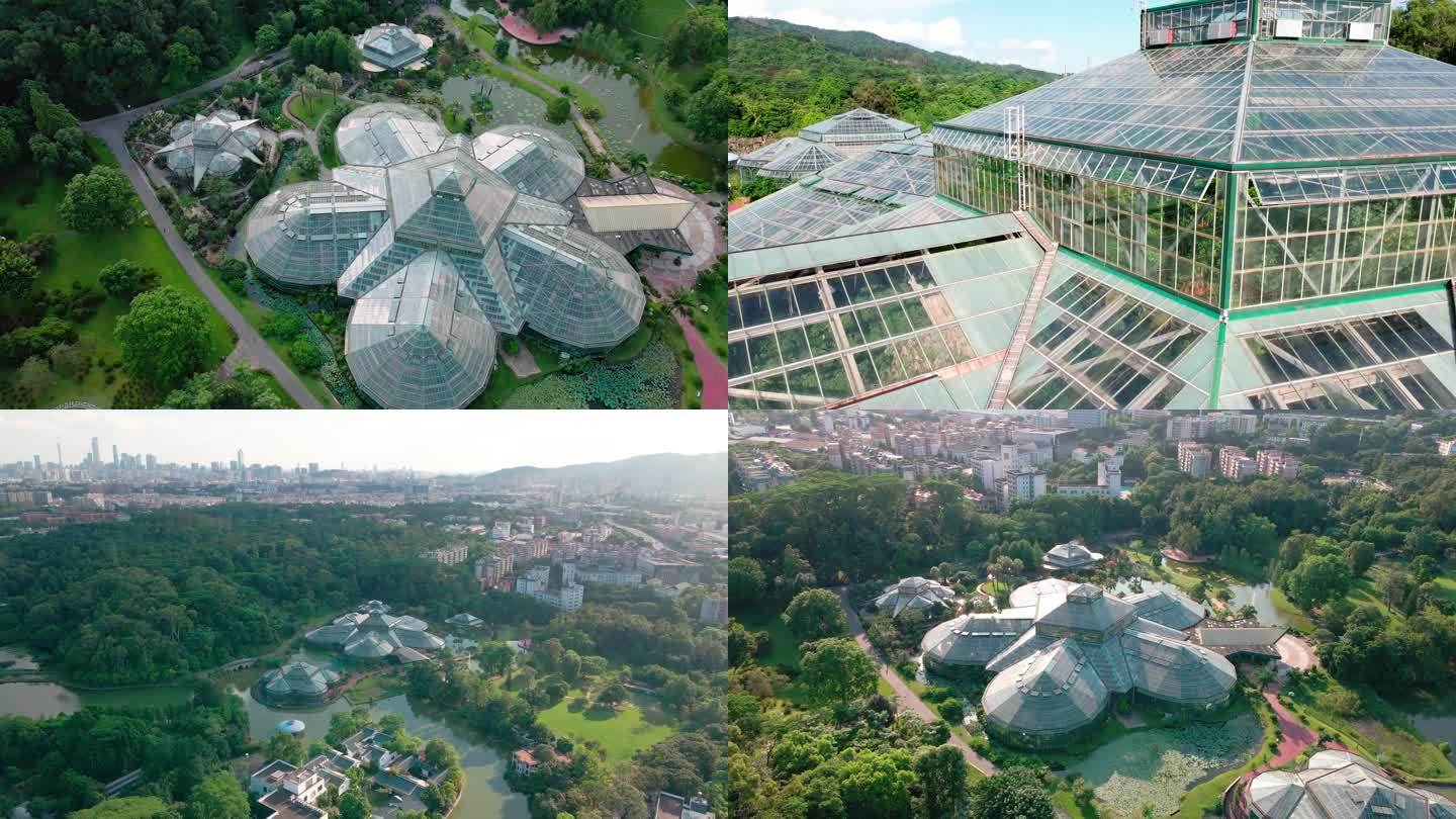 华南植物园温室4k