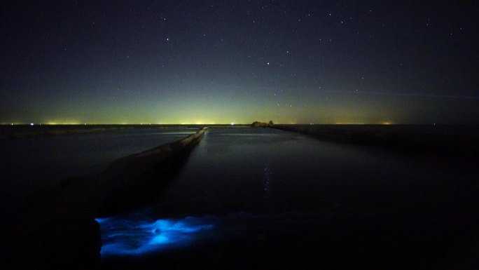 山东荣成寻山镇东海边兔子石星空夜晚荧光海