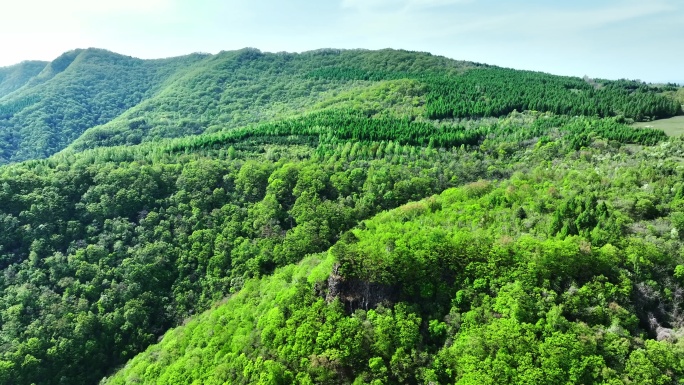 绿水青山 航拍森林大自然 绿水生态 青山