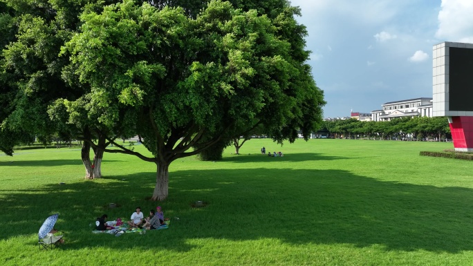城市绿地休闲公园草坪