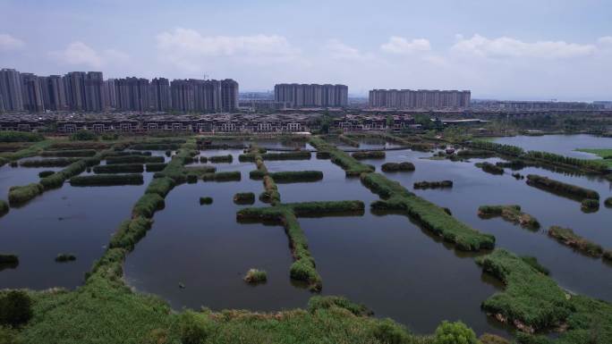 航拍昆明五甲塘湿地公园