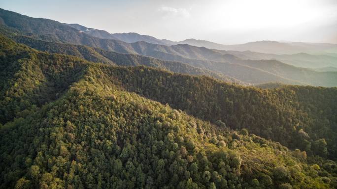 江西赣州峰山森林公园