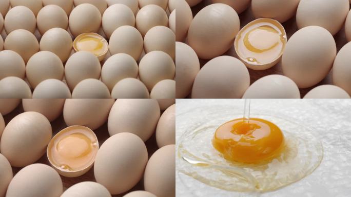 鸡蛋 土鸡蛋 有机鸡蛋 无菌鸡蛋