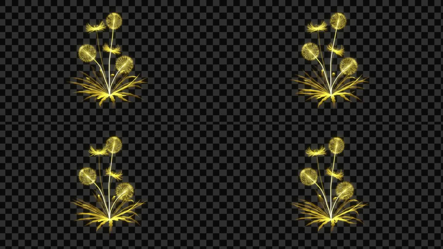 金色发光植物蒲公英-带透明通道