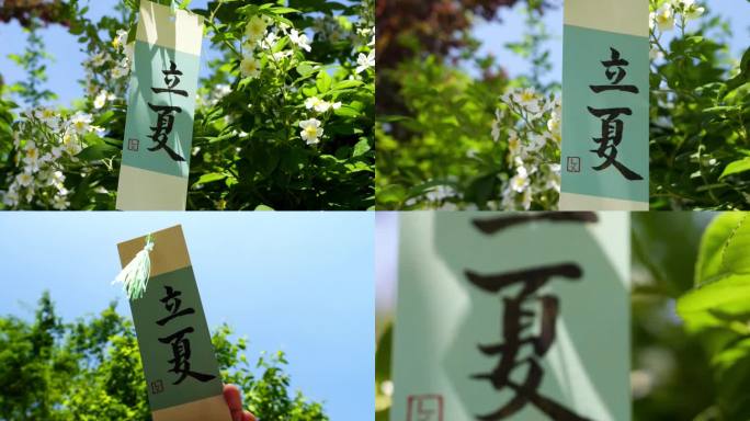 立夏蔷薇 立夏毛笔字 立夏卡片 立夏书签