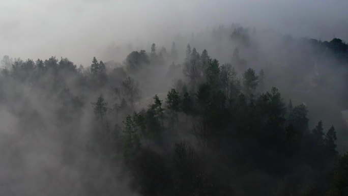 林间晨雾航拍