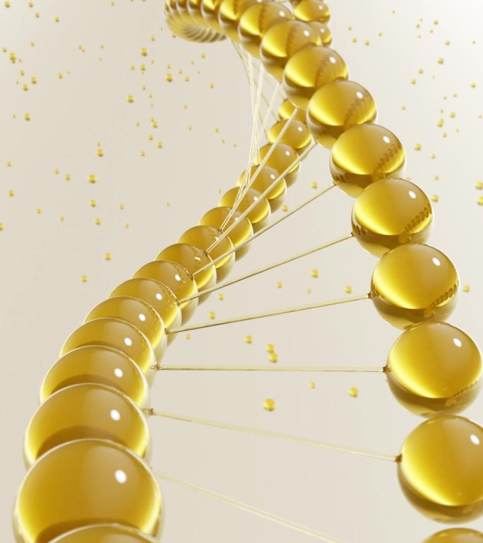 黄金精华螺旋DNA旋转展示