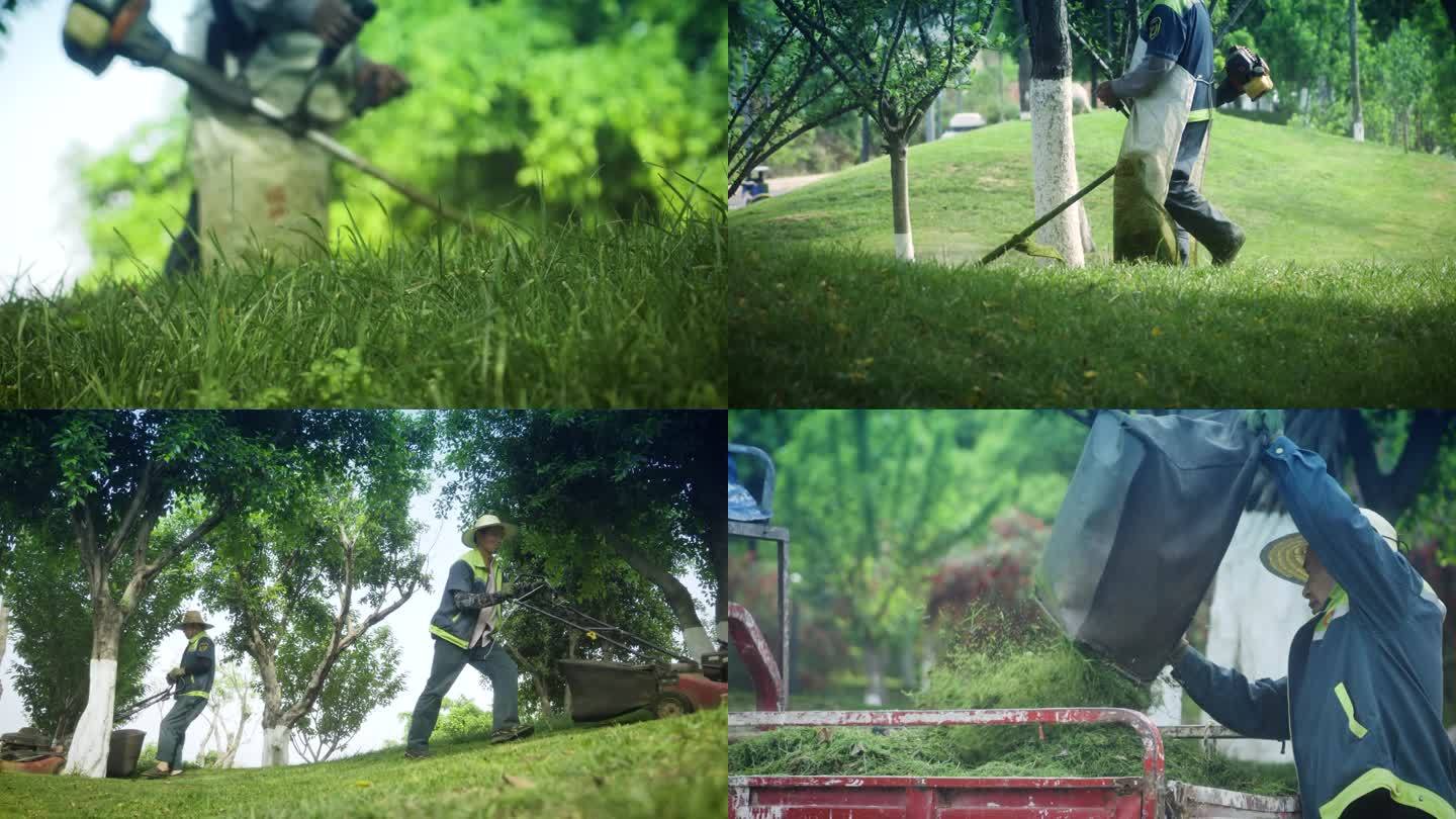 园林绿化工人割草机剪草视频素材