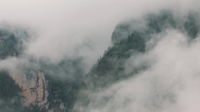 山谷里的云雾天气