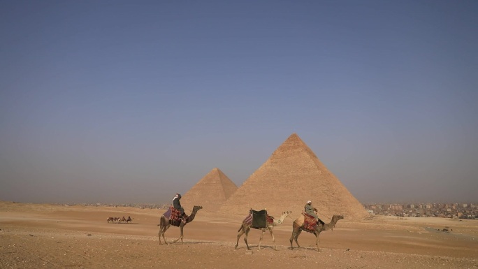 金字塔 骆驼 沙漠 古埃及文明