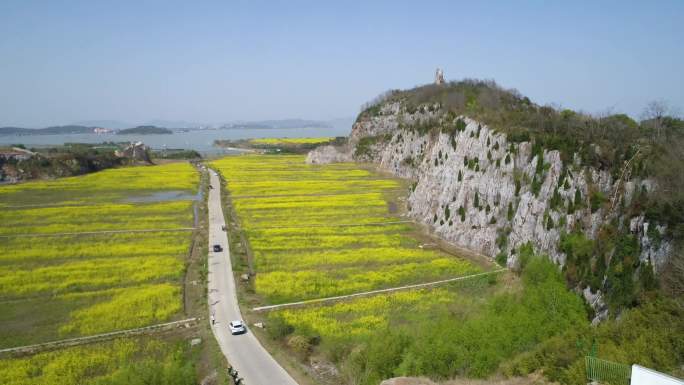 西山乌峰顶油菜花