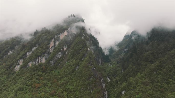 山谷里的云雾天气