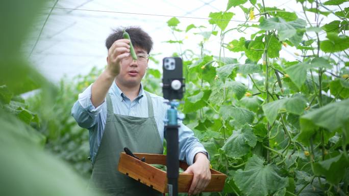 年轻人在农业大棚里直播卖农产品