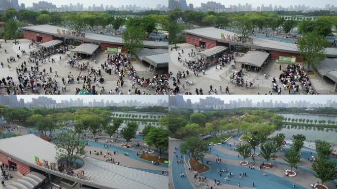 4K原创/五一假期，武汉动物园人潮涌动