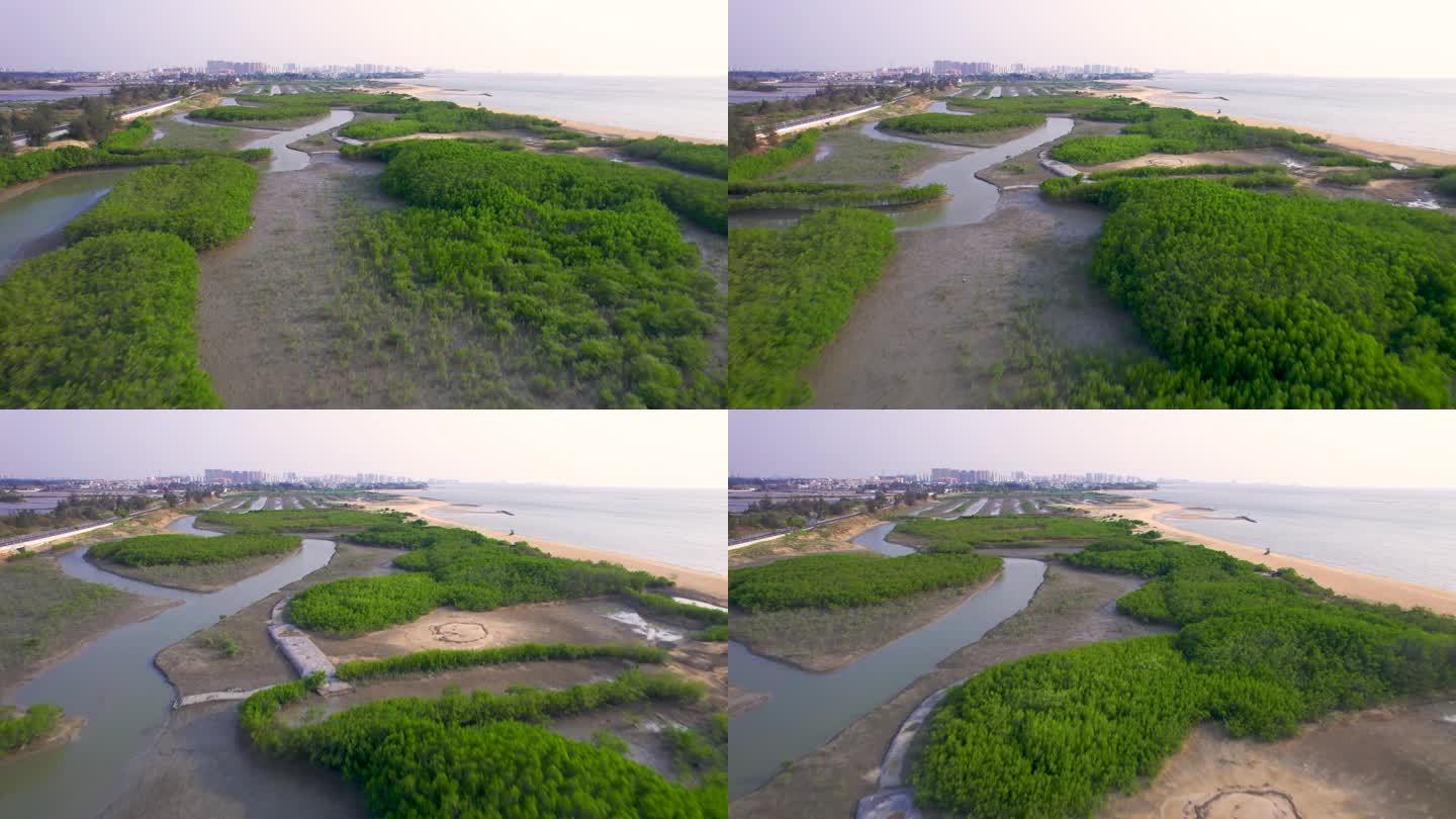 红树林滩涂改造绿色环保绿色公园改造湿地