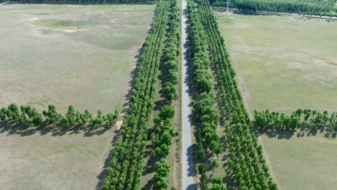 航拍大庆市杜尔伯特自治区草原树林道路