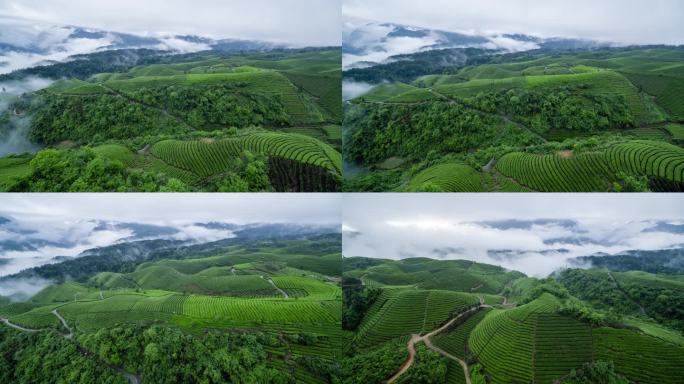 航拍山区云雾袅绕的茶山4K