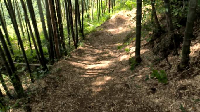 竹林七贤 竹林 上山台阶 风吹竹叶