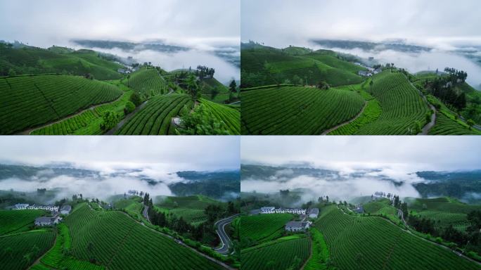 航拍山区云雾袅绕的茶山4K