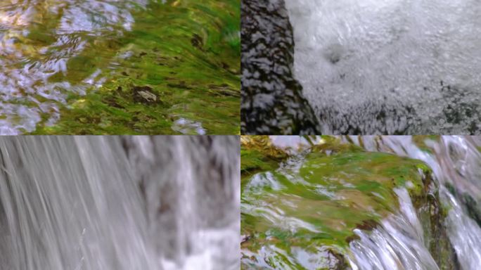 杭州植物园小溪流水特写视频素材4
