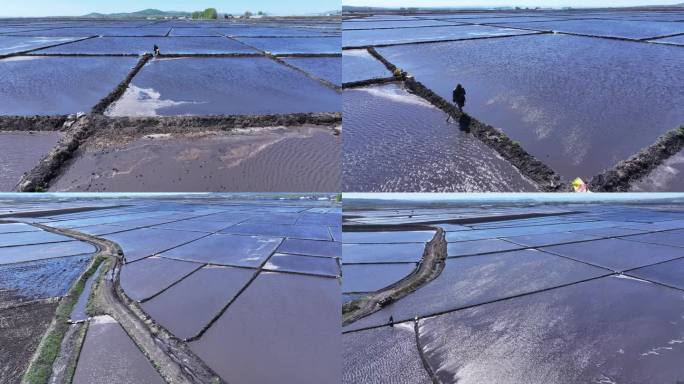 水田稻田灌溉注水