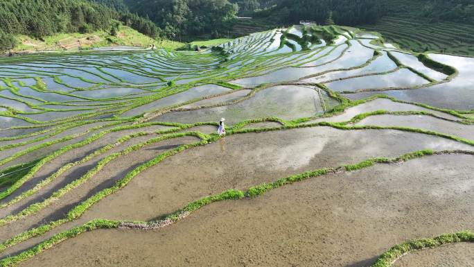 广东清远连山欧家梯田