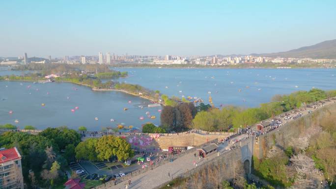 南京市玄武区玄武湖景区古鸡鸣寺樱花风景视