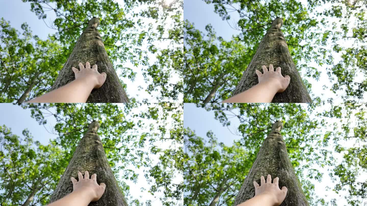 【4k慢镜头】女人用手触摸大树