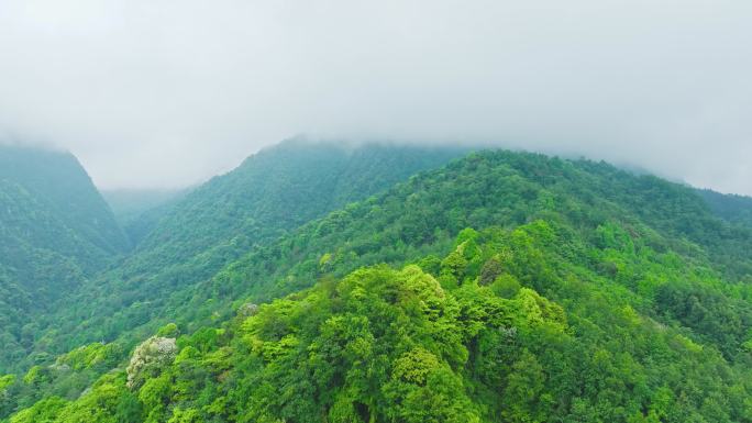 阴天高山云海云雾缭绕航拍