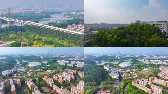 广州大学城航拍校园广东广州番禺区城市风景