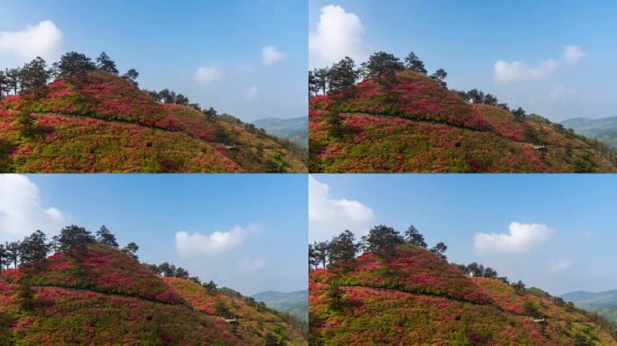 武汉木兰云雾山延时2