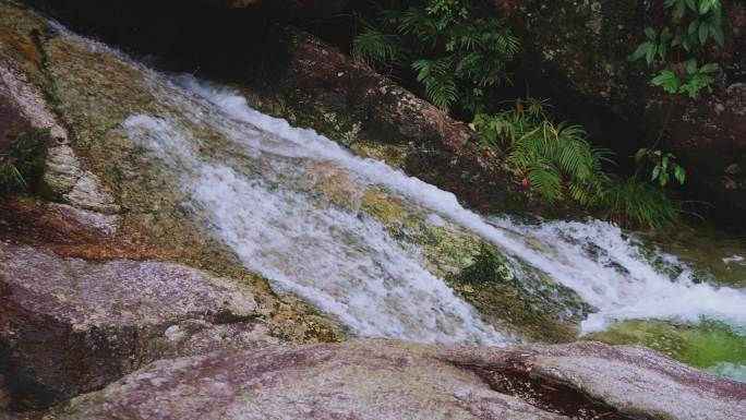 山谷溪流流水清澈山泉水源小溪瀑布
