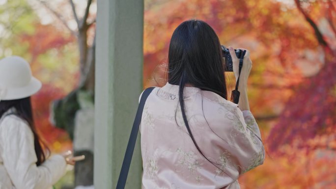 秋天游客公园拍照