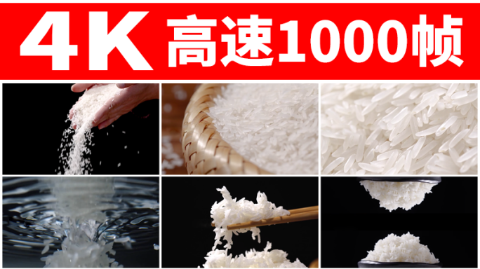 大米家常大米  米饭  大米落水