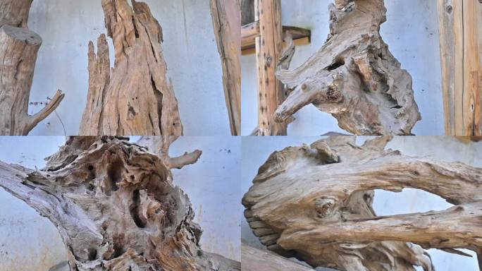 木头木纹造型艺术，树木老树枯树
