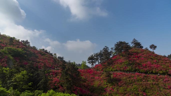 武汉木兰云雾山延时