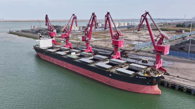 天津南港工业区通用码头煤炭装卸作业繁忙