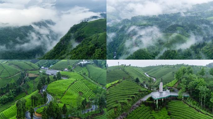 航拍山区云雾袅绕的茶山4K