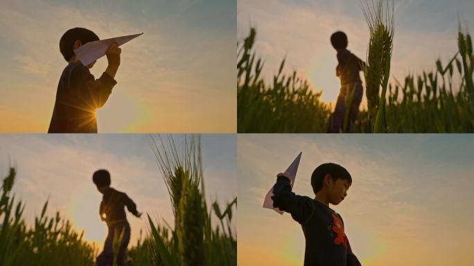 夕阳下麦田放飞纸飞机的男孩