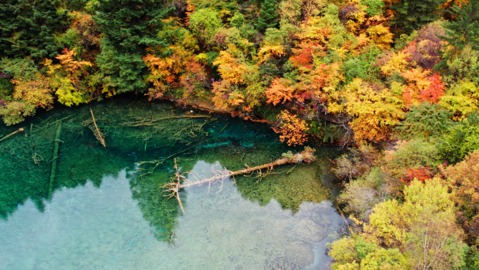 四川九寨沟景区航拍合集