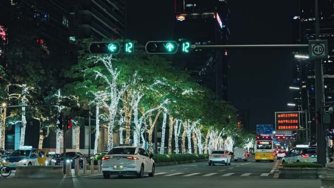 夜间城市红绿灯道路C0418