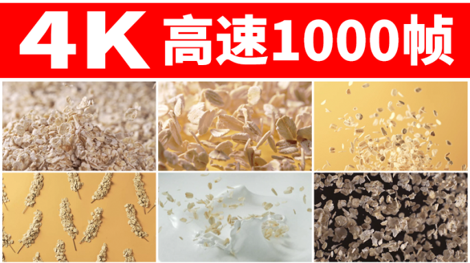 燕麦燕麦片牛奶冲泡