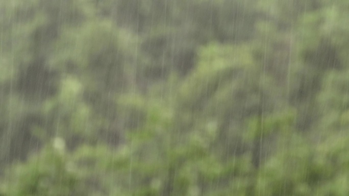 倾盆大雨 大暴雨