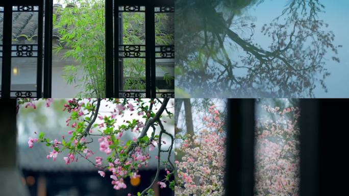 苏州园林网师园玉兰花禅意古风空镜古代窗子