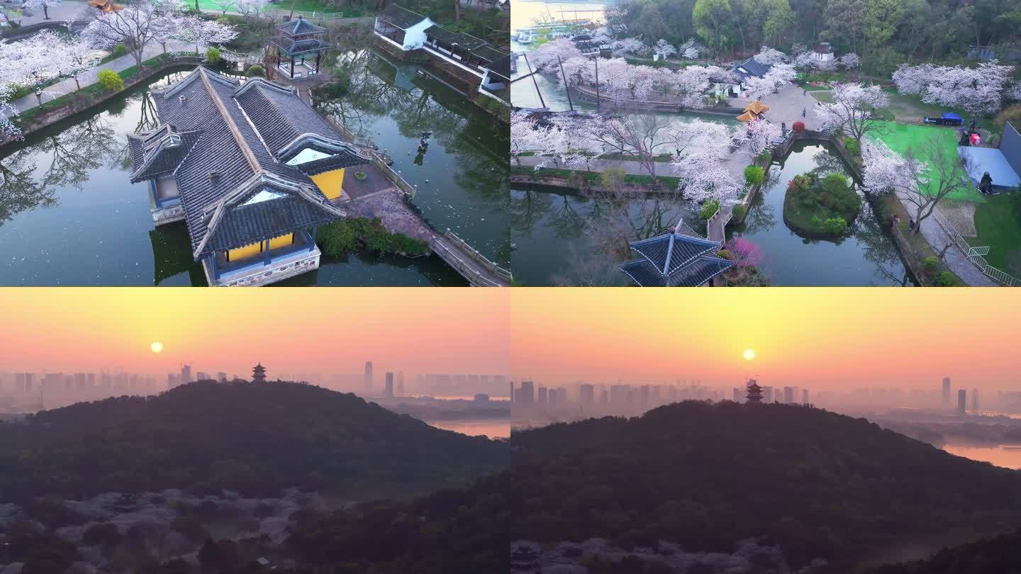 春天清晨日出无锡太湖鼋头渚樱花风景航拍