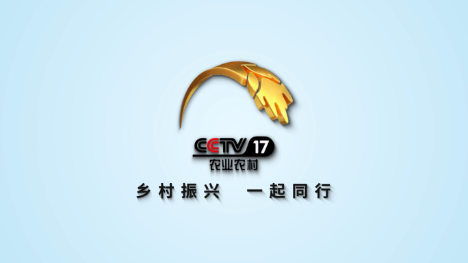 简洁照片汇聚LOGO