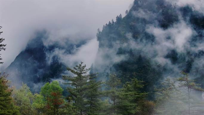 山谷里的云雾天气