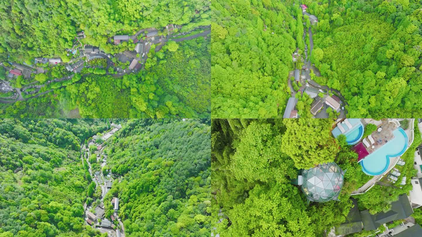 成都崇州九龙沟绿色森林