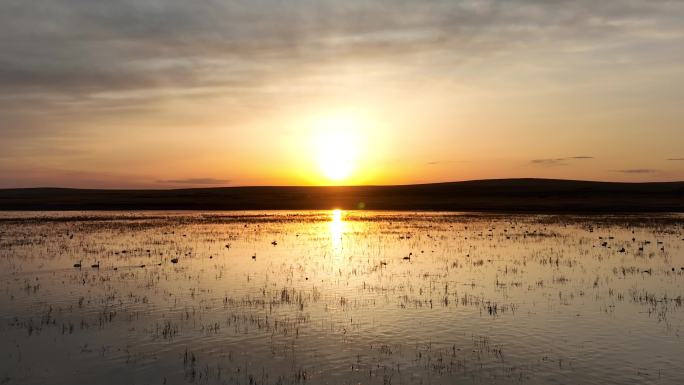 草原湿地夕阳美景
