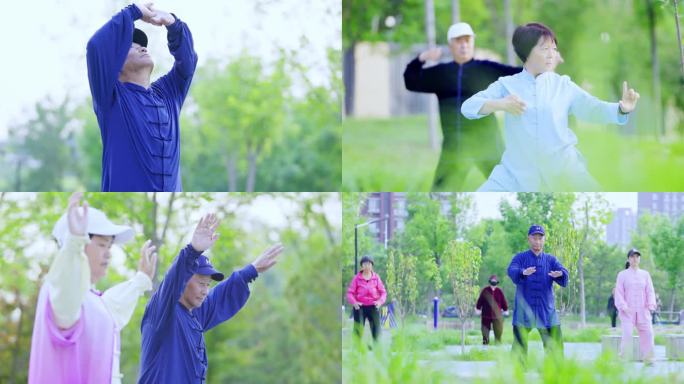 八段锦 清晨公园锻炼 老人养生晨练打太极
